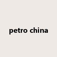 petro china是什么意思