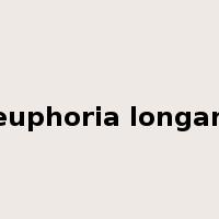 euphoria longan是什么意思