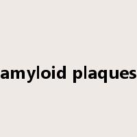 amyloid plaques是什么意思