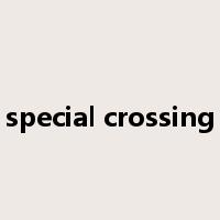 special crossing是什么意思