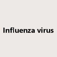 Influenza virus是什么意思