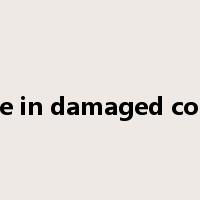 package in damaged condition是什么意思