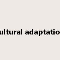 cultural adaptation是什么意思