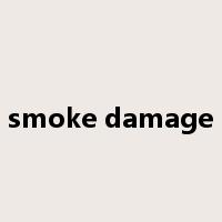 smoke damage是什么意思