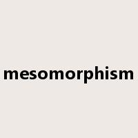 mesomorphism是什么意思