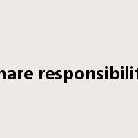 share responsibility是什么意思