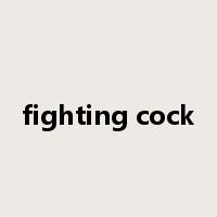 fighting cock是什么意思
