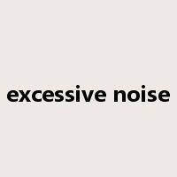 excessive noise是什么意思