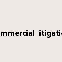commercial litigation是什么意思