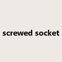 screwed socket是什么意思