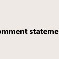 comment statement是什么意思