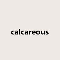 calcareous是什么意思