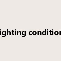 lighting condition是什么意思