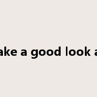take a good look at是什么意思