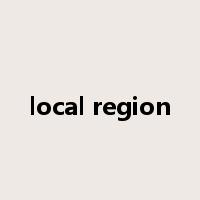 local region是什么意思