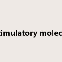 costimulatory molecules是什么意思