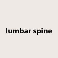 lumbar spine是什么意思