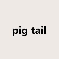 pig tail是什么意思