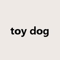 toy dog是什么意思