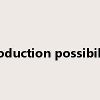 production possibility是什么意思