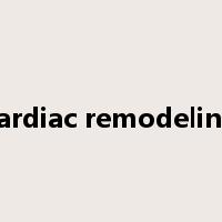 cardiac remodeling是什么意思