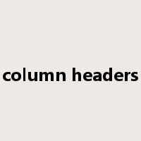 column headers是什么意思