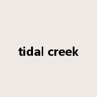 tidal creek是什么意思