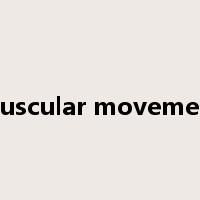 muscular movement是什么意思