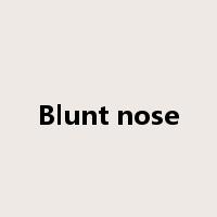 Blunt nose是什么意思