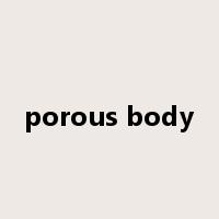 porous body是什么意思