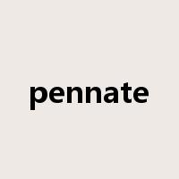 pennate是什么意思