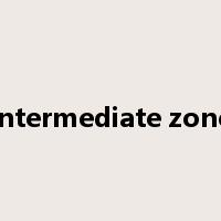 intermediate zone是什么意思