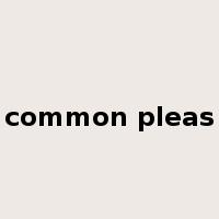 common pleas是什么意思