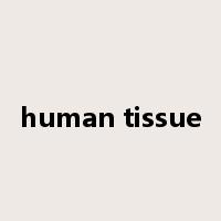 human tissue是什么意思