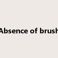 Absence of brush是什么意思