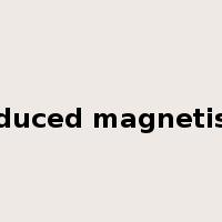 induced magnetism是什么意思