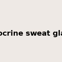 Apocrine sweat gland是什么意思