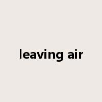 leaving air是什么意思