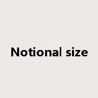 Notional size是什么意思