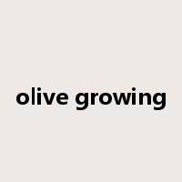 olive growing是什么意思
