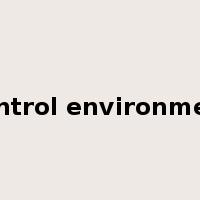 control environment是什么意思