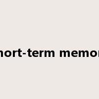 short-term memory是什么意思