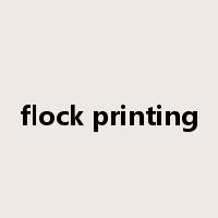 flock printing是什么意思