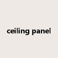 ceiling panel是什么意思