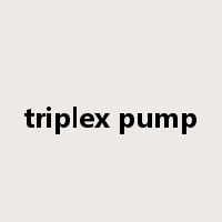 triplex pump是什么意思