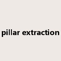 pillar extraction是什么意思