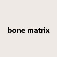 bone matrix是什么意思