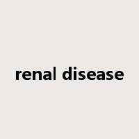 renal disease是什么意思