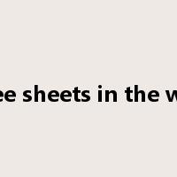 three sheets in the wind是什么意思