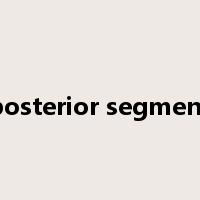 posterior segment是什么意思